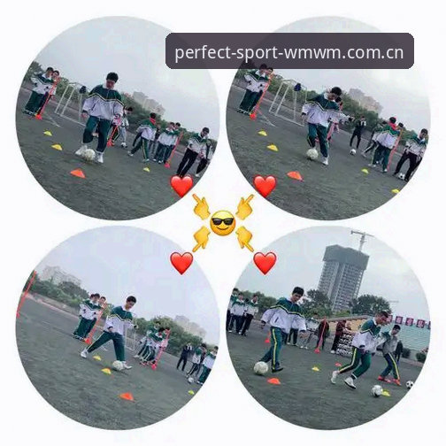 完美体育使用教程：新用户如何快速掌握WMWM平台的操作技巧？