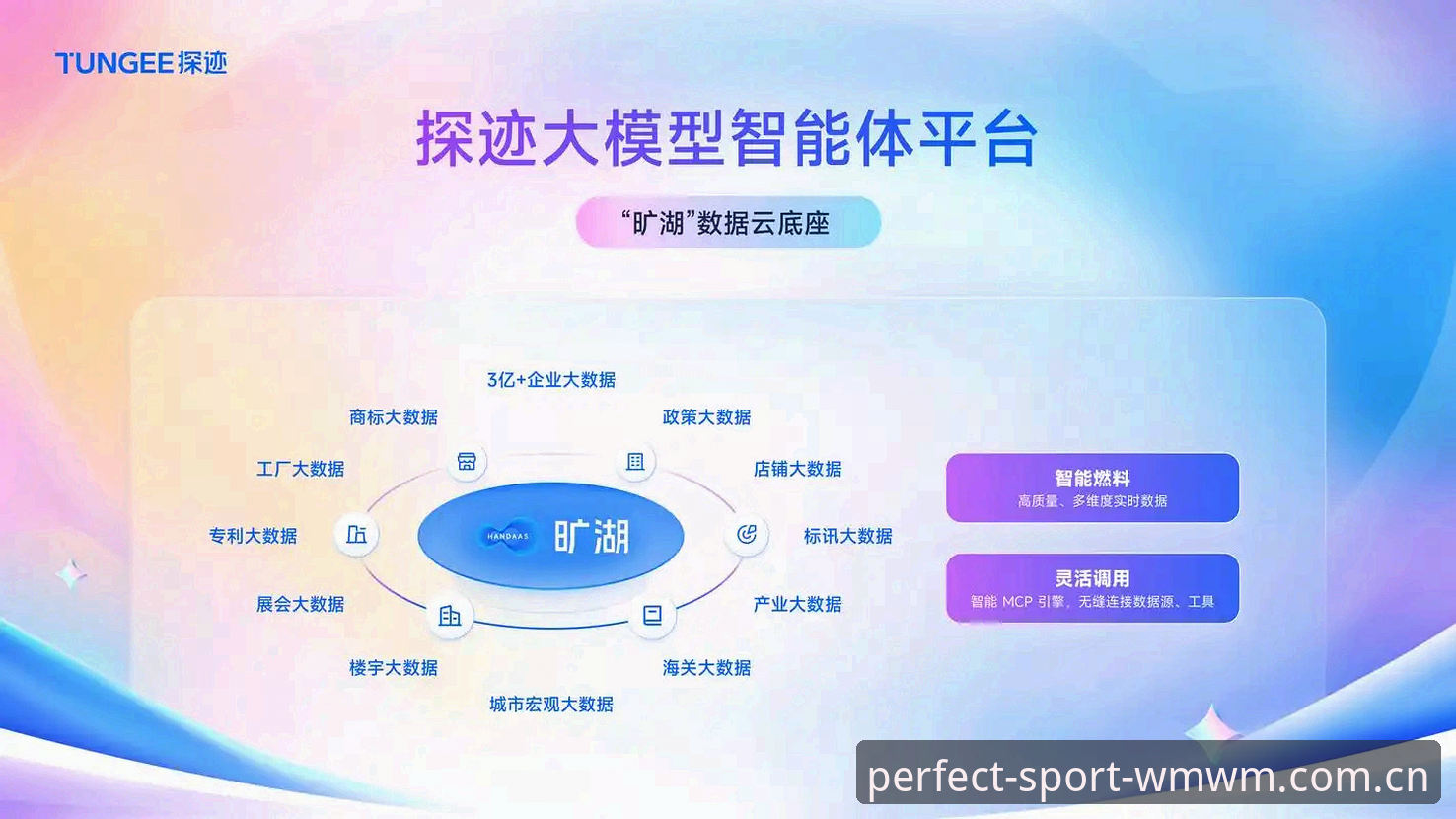 完美体育平台选择的5大核心维度：从wmwm下载到登录体验的深度对比